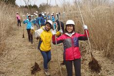 BRITA Acorns Association 